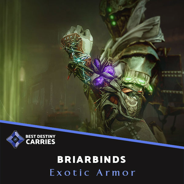 Briarbinds Exotic Armor